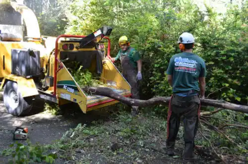 tree services Menlo